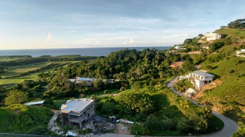 an aerial view of a house on a hill with the ocean at Coral Views Resort - Villa uMaMi in French Harbour