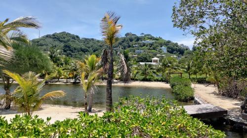 a body of water with palm trees on a beach at Coral Views Resort - Villa uMaMi in French Harbour