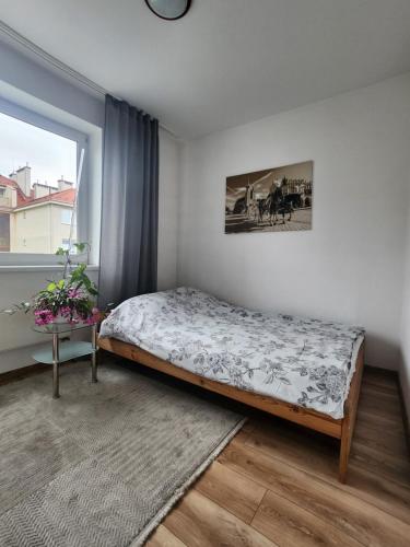 sypialnia z łóżkiem i oknem w obiekcie Wspomnienie młodości w Krakowie