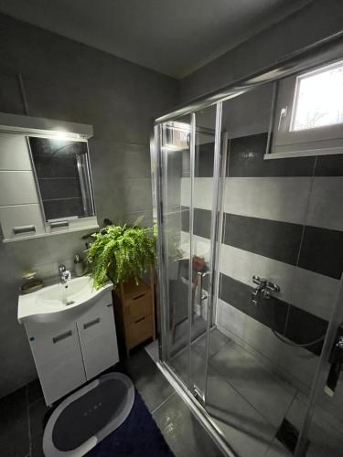 a bathroom with a shower and a toilet and a sink at villa Antonijevic in Brestovac