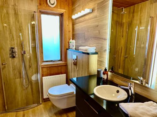 a bathroom with a toilet and a sink and a shower at Holt in Jarðlangsstaðir