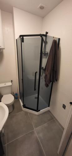 bagno con doccia in vetro e servizi igienici di Apartament pod Wieżą a Piotrków Trybunalski