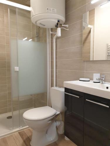 une salle de bain avec toilettes, lavabo et douche dans l'établissement FRIDA T2 avec sa terrasse By UnSejourANancy Fr, à Nancy