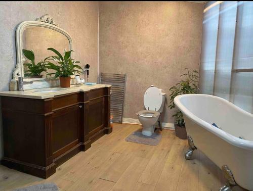 a bathroom with a tub and a sink and a toilet at Cozy room in a barn with farm view in Dublin