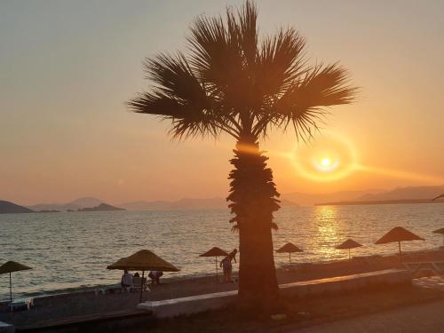 Φυσικό τοπίο κοντά σε αυτό το διαμέρισμα