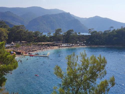Φυσικό τοπίο κοντά σε αυτό το διαμέρισμα
