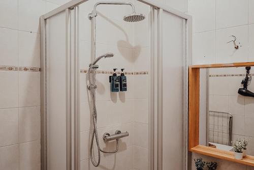 y baño con ducha con cabezal de ducha. en Fewostaeps- Moderne Unterkunft, zentrumsnah en Plauen