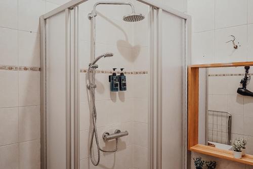 a shower with a shower head in a bathroom at Fewostaeps- Moderne Unterkunft, zentrumsnah in Plauen