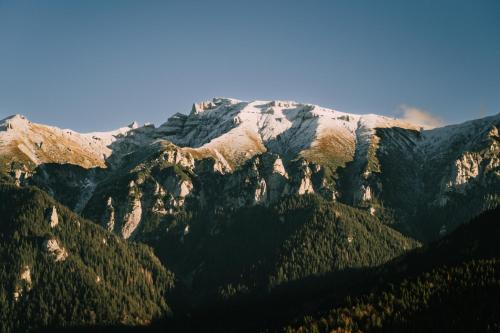 a mountain with trees in front of it at Matca Hotel Relais & Châteaux in Şimon