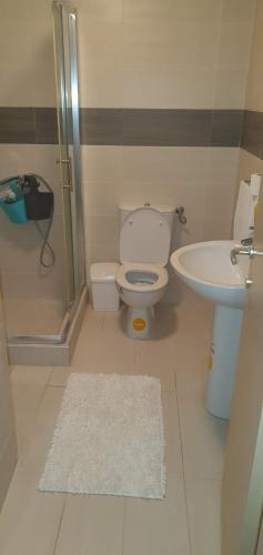 a bathroom with a toilet and a sink at Kris apartments in Skopje