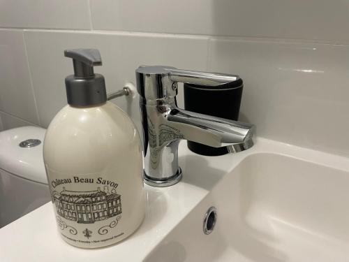 a bottle of soap on a sink next to a faucet at ღ Le Saintois • Au cœur de ville, Spacieux & Wifi in Saintes