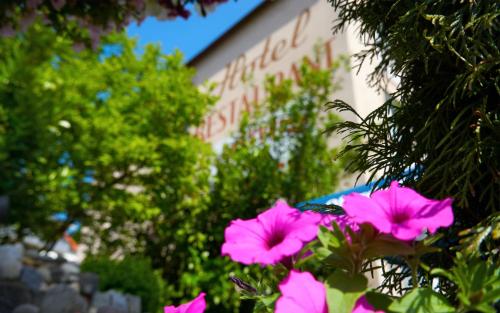 um grupo de flores cor-de-rosa em frente a um edifício em Hotel Schäffer - Steakhouse Andeo em Gemünden