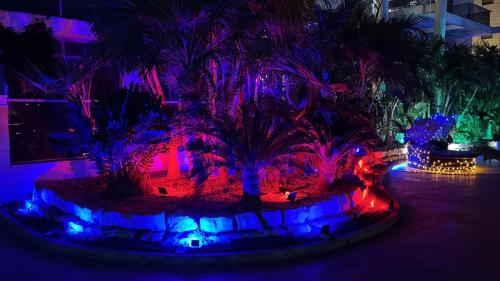Royal magic place – Photos 3