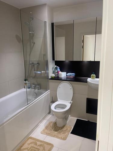 a bathroom with a toilet and a sink and a shower at Waterside heights Dockland in London