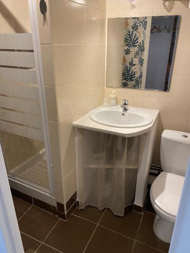 une salle de bain avec un lavabo, une douche et des toilettes dans l'établissement Studio coeur de ville et au calme (1), à Montpellier