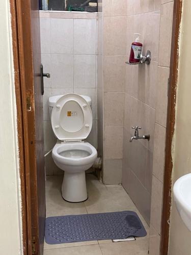 a small bathroom with a toilet and a sink at Homes by Essyruby in Nairobi