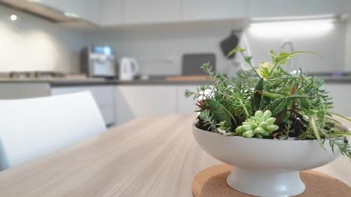 a plant in a white bowl on a table at NIKO casa - 3 bedroom townhouse in Ceggia