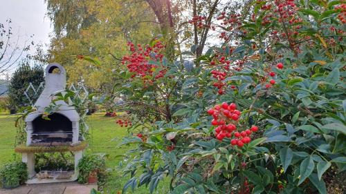 a garden with a bird house and a bush with red berries at NIKO casa - 3 bedroom townhouse in Ceggia
