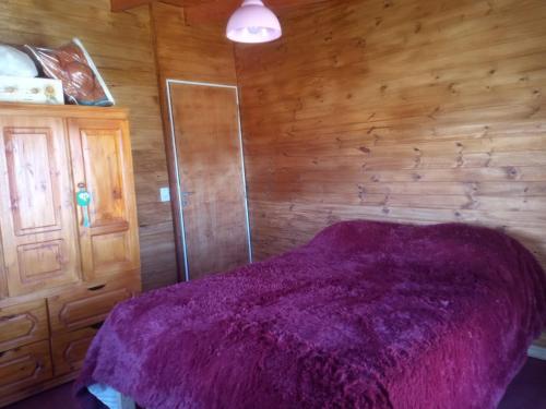 ein Schlafzimmer mit einem lila Bett und einer Holzwand in der Unterkunft Cabaña Sion in Puerto Madryn