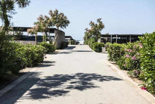 a long road with trees and flowers on the side at Rocca dei tramonti in Punta Braccetto