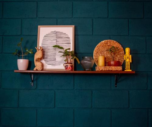 a shelf on a wall with plants and other items at Lolas Hostal Hab. doble (baño privado) in San José