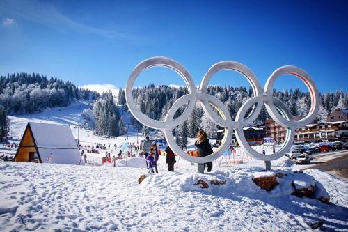 a group of olympic rings in the snow at Apartman Jellena in Pale