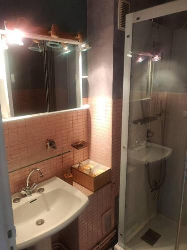 une salle de bain avec un lavabo et une douche avec un miroir dans l'établissement Appartement Calais centre (+ parking gratuit), à Calais