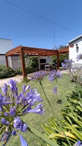 a group of purple flowers in a yard at Cabaña a pasos del lago in Tandil