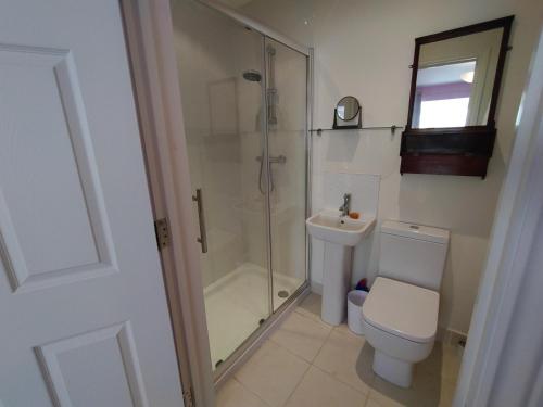 a bathroom with a shower and a toilet and a sink at Lyndale House - North Norwich suburbs in Norwich