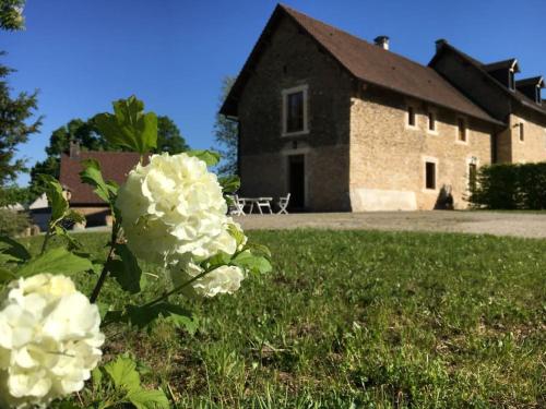 une fleur dans l'herbe devant un bâtiment dans l'établissement Maison confortable et calme, 2 chambres, à Saint-Marcel-Bel-Accueil