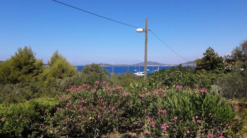 House Island Vibes – Photos 2
