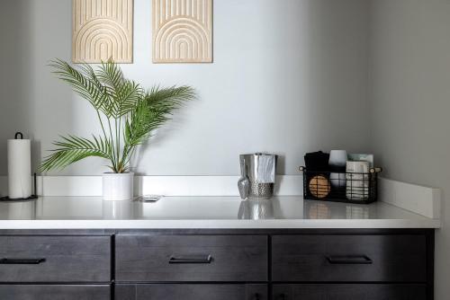 a kitchen counter with a plant on top of it at Winter Park Chateau in Winter Park