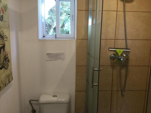 een badkamer met een douche, een toilet en een raam bij Finca el Río,, La Casita one of 2 self catering studios. Pool and hydrotherapy jacuzzi in Málaga