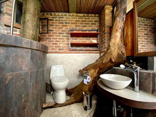 a bathroom with a tree branch on the counter and a sink at Suite entre los árboles Hotel Portal 360 in Nocaima
