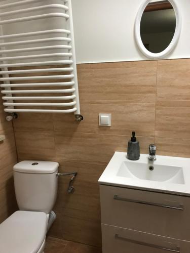 bagno con servizi igienici, lavandino e specchio di Kris Apartment a Kajetany