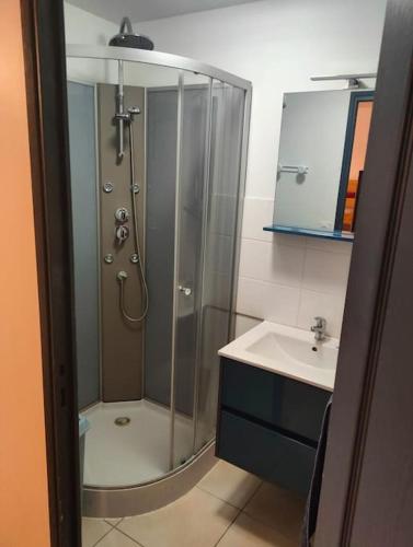 une salle de bain avec douche et lavabo dans l'établissement Gîte Les Flôreaux appartement, à Die