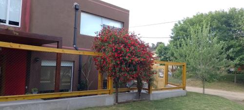 a bush with red flowers on the side of a building at Departamento con parque a metros del mar in Ostende