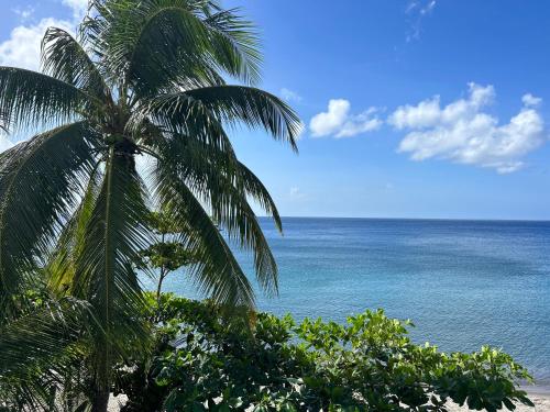 a palm tree sitting on a beach next to the ocean at LA PLAGE MARTINIQUE in Schœlcher