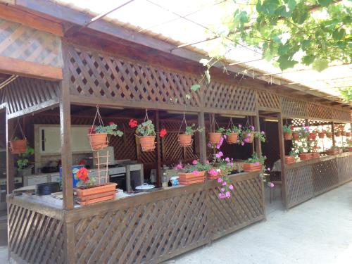 コスティネシュティにあるVila La Foisorの鉢植えの花屋