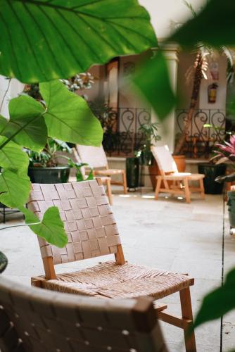 a chair sitting in the middle of a patio with plants at Los Pilares Hotel in Oaxaca City