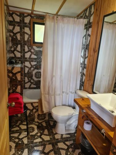 a bathroom with a toilet and a sink at Turismo del Bosque in Castro