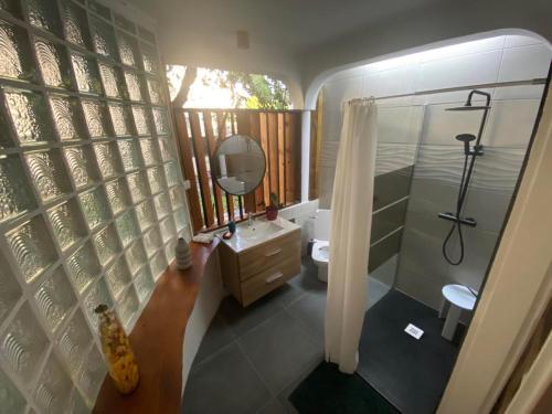 a bathroom with a shower and a sink and a mirror at Ti Kaz Lo Ker chambre d'hôte chez l'habitant in Saint-Joseph