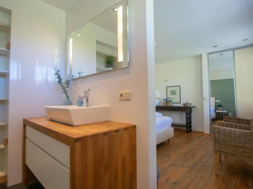 a bathroom with a sink and a mirror at Landhuis Duinzicht in Callantsoog