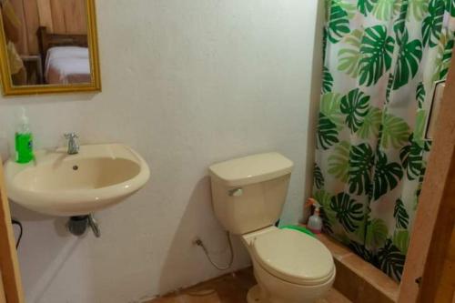 La salle de bains est pourvue d'un lavabo, de toilettes et d'un rideau de douche. dans l'établissement Cabaña Campo Verde, à Marsella