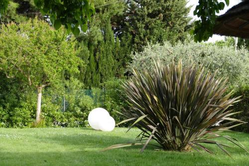a white ball sitting in the grass next to a plant at Il Portico in Fano