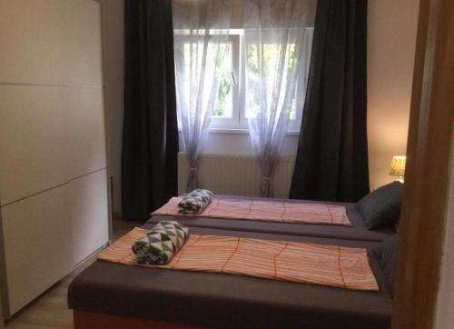 2 Betten in einem Zimmer mit Fenster in der Unterkunft Apartments with a parking space Stubicke Toplice, Zagorje - 22028 in Stubicke Toplice