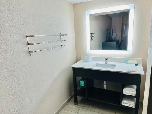 a bathroom with a sink and a mirror at Tropical Inn & Suites, downtown clearwater in Clearwater