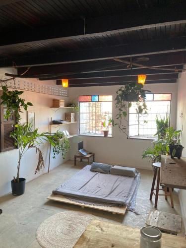 een slaapkamer met een bed in een kamer met potplanten bij suite com vista mar in Salvador