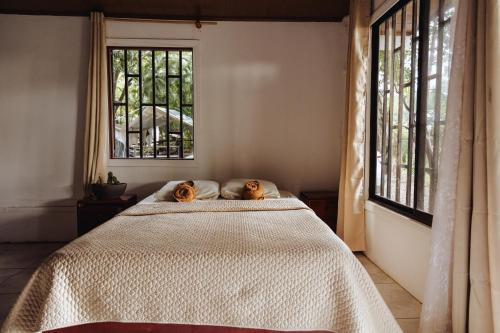 Dos gatos acostados en una cama en una habitación con ventanas en Sunny’s, en Jacó