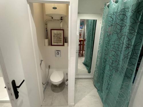 une salle de bain avec toilettes et rideau de douche dans l'établissement Appartement T2 rénové avec clim, proche mer, 2 km du centre, WiFi fibre, tennis et animaux acceptés - FR-1-768-49, aux Issambres